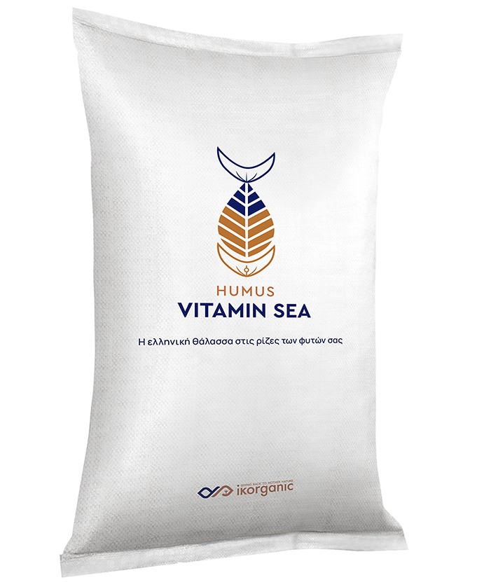 Vitamin Sea Humus
